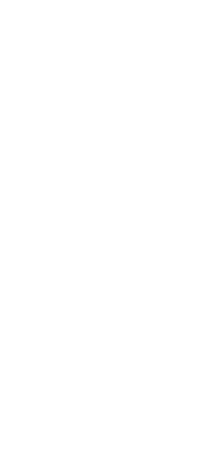 Dwennimmen
